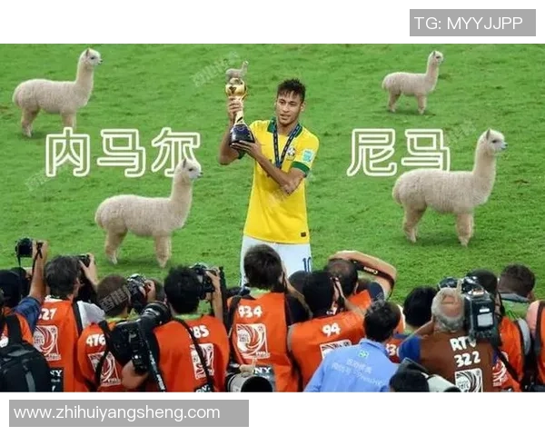 香港足球球星翻译研究：从语言到文化的跨越与挑战