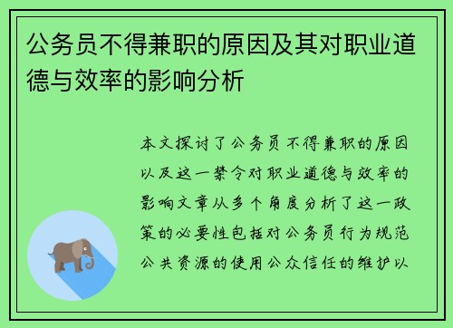 公务员不得兼职的原因及其对职业道德与效率的影响分析
