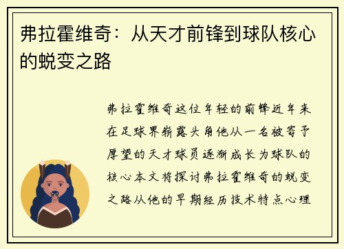 弗拉霍维奇：从天才前锋到球队核心的蜕变之路